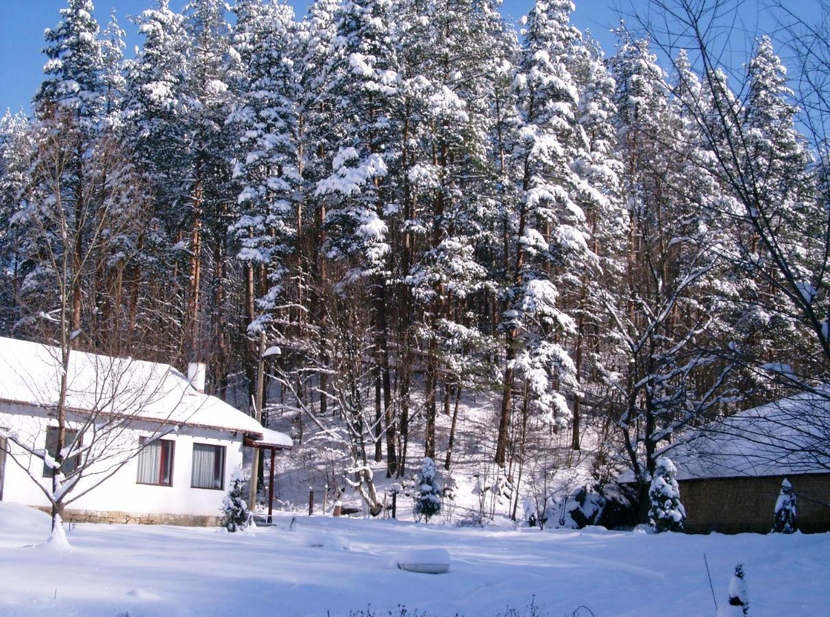Holiday Home Tanevi Trjavna Exteriér fotografie