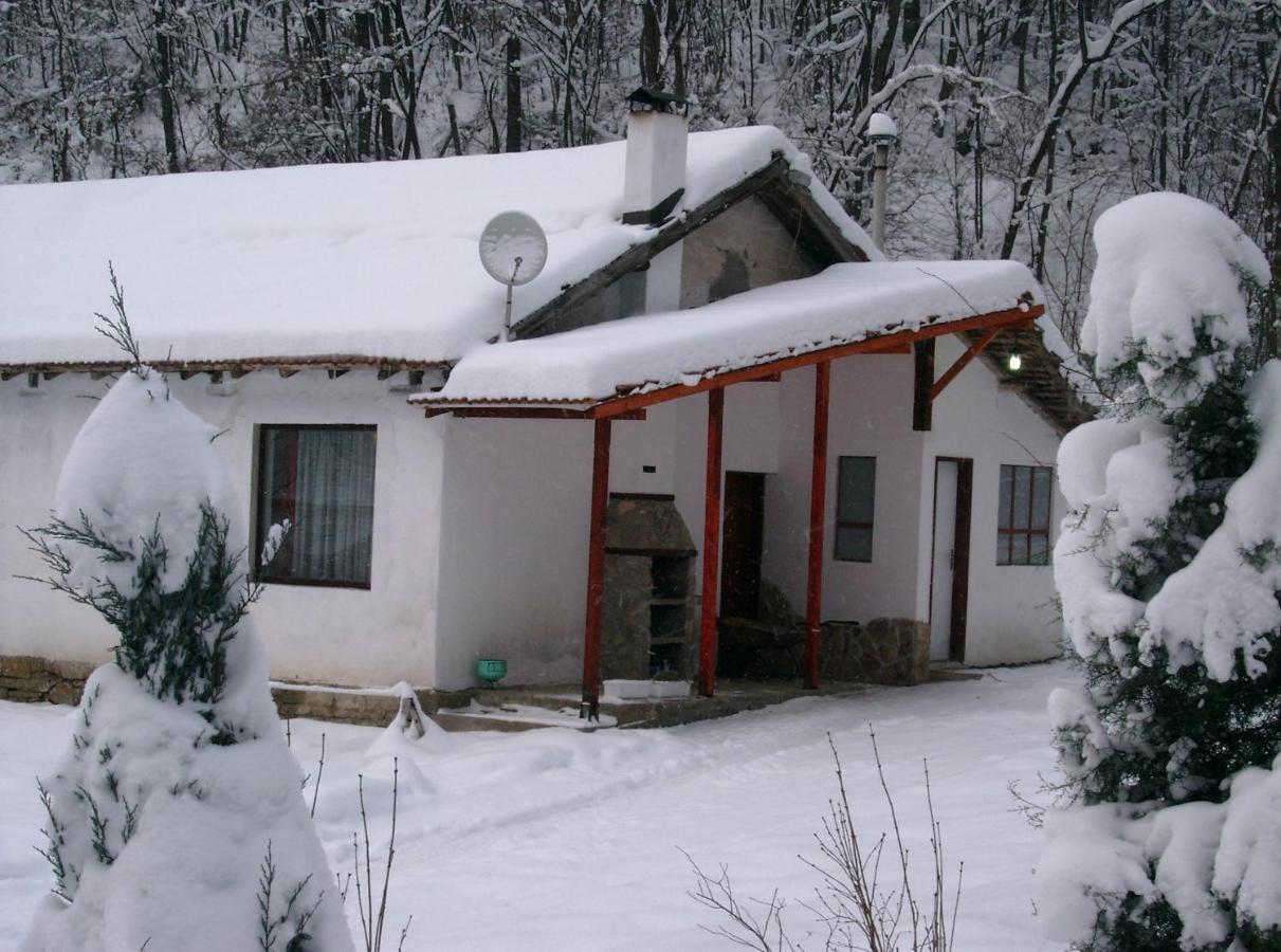 Holiday Home Tanevi Trjavna Exteriér fotografie